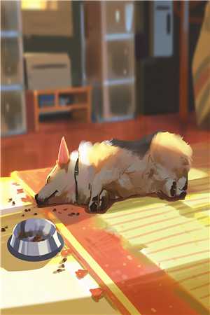 暴君和清冷质子HE了谢迟舟容淮已完结小说最新章节免费在线阅读