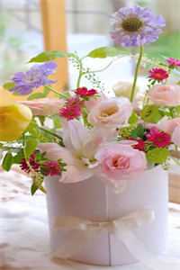 弹幕揭穿了父母对我的穷养计划珊珊淼淼全集在线阅读完整版txt在线阅读