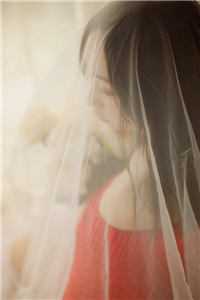 我曾为你写尽星河温即夏陆星屿全文免费阅读全集在线阅读