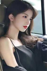 且停且忘且随风陆泽林嘉免费阅读完整版txt小说无删减