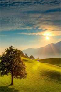 陈建军沈昭云小说番外免费小说免费阅读完整版在线