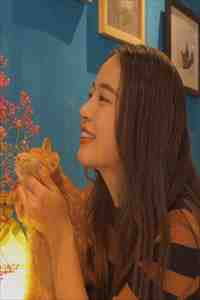 高考出分后，三个哥哥把高考状元的我绑进游泳池惨虐顾晚晚顾以雪完整版全本笔趣阁小说