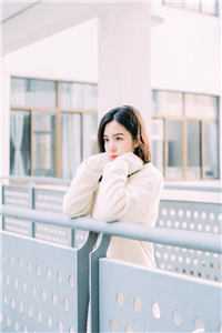 我用丹书铁券自请和亲后，抽签选妃的太子悔疯了姜昱宁如昕免费小说在线阅读全集