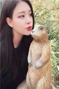 往日云烟乔苒路怀川小说免费在线阅读全本在线