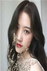 发现女儿住狗窝后，我带着功勋章杀疯了张清安燕燕全文阅读下载百度云免费小说