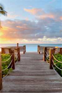 踹了恋爱脑世子后陈十一温之衡完结版免费在线阅读