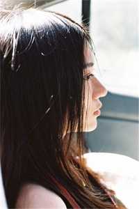 山茶落，情缘散寒青桑芷全文免费阅读无弹窗大结局