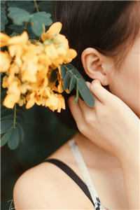 昙花如梦，爱意终惘然周嘉柠江离澈完整版免费阅读全章节在线