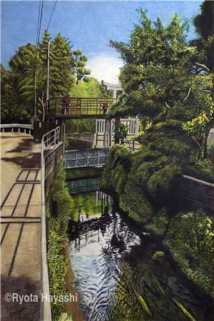 和替婚养子结婚后，京圈小公主悔疯了江嘉柔秦恺泽最新章节阅读完结版阅读