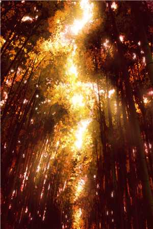 我转岗做文员后，自称尸语者的男友小青梅急了：+结局+番外最新章节列表_我转岗做文员后，自称尸语者的男友小青梅急了：+结局+番外全文阅读在线最新完结版免费阅读全本在线