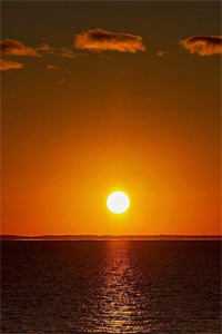 用捉迷藏的方式替我找领养后，吸血鬼男友悔疯了傅斯行唐璐娜最新章节在线阅读全本在线阅读