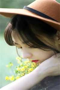 月光洒下离人巷谢诚景洛婉雪小说在线免费阅读无广告弹窗