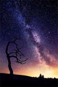 精选小说推荐为报仇,我与恶人同行