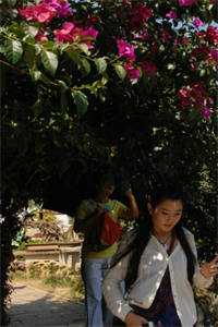 渣爹出轨我抓人,坑爹能手第一人精选篇章