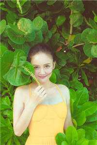 娇妻太软,闪婚老公不见面全文小说